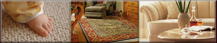 carpet cleaning geelong
