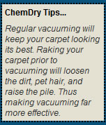carpet cleaning geelong tips