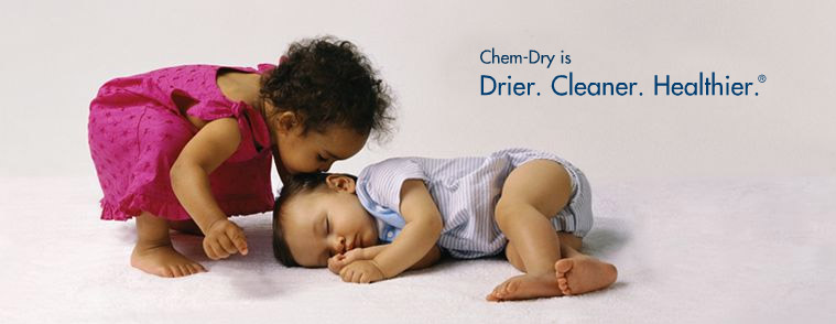 carpet cleaning geelong